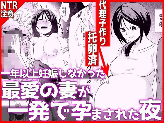 【完全版】1年以上妊娠しなかった最愛の妻が一発で孕まされた夜｜d_798372